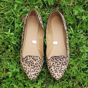 Leopard / Cheetah Pointed Toe Loafers